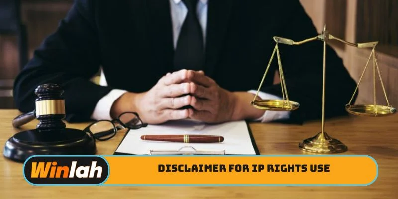 Disclaimer for IP rights use