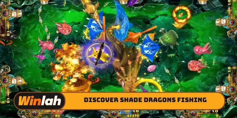 Discover Shade Dragons Fishing