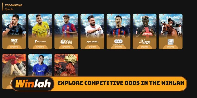 Explore competitive odds in the Winlah sports betting lobby
