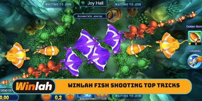Winlah Fish Shooting top tricks